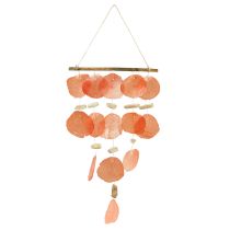 kategoria Simpukankoriste