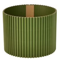 kategoria Pakkaus kukka