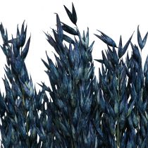 Kuivatut kukat, Kaura Kuivatut viljat Deco Blue 68cm 230g