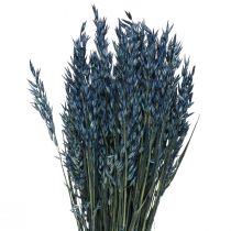 kohteita Kuivatut kukat, kaura kuivattu vilja koriste sininen 68cm 230g