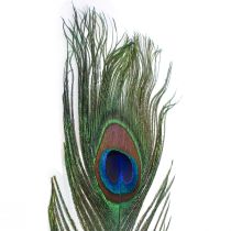 Riikinkukon höyhenet koristehöyhenet lintujen höyhenten tekemiseen H78cm 10 kpl