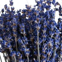 Kuivattu laventeli nippu kuivattu kukka sininen 25cm 75g