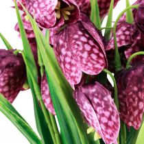 kohteita Fritillaria Purple Checkered Board Flower Tekokukat 28cm 6 kpl