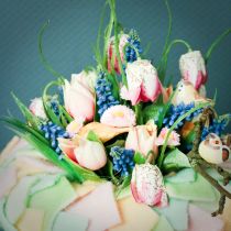 kohteita Shakkilaudan kukat Fritillaria tekovalkoinen, vihreä 40cm 12 kpl