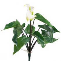 kohteita Calla Lily Kalla tekokukat Valkoiset eksoottiset kukat 34cm