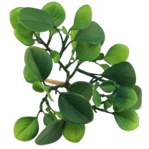 kohteita Keinotekoinen vihreä kasvi mehevä tekovihreä H14cm