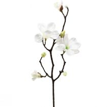 kohteita Tekokukka magnoliaoksa magnolia tekovalkoinen 58cm