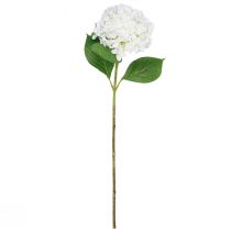 kohteita Koristeellinen hortensia keinovalkoinen lumipallohortensia 65cm
