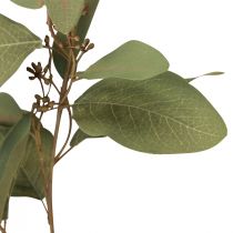 kohteita Eukalyptuksen oksa keinotekoinen koristeoksa vihreä 60cm