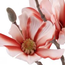 kohteita Magnoliaoksa, jossa 6 kukkaa keinotekoinen magnolia lohi 84cm