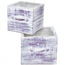 kohteita Kasvilaatikko kahvalla violetti valkoinen puu 12/15cm sarja 2