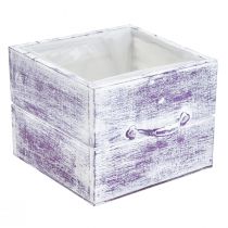 kohteita Kasvilaatikko kahvalla violetti valkoinen puu 12/15cm sarja 2