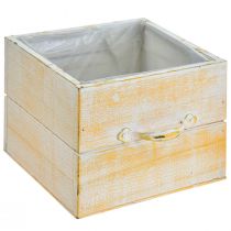 kohteita Kasvilaatikko kahvalla oranssinvalkoinen puu 12/15cm sarja 2 kpl