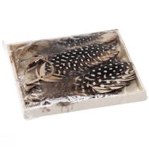 kohteita Koristeellinen höyhenriipus puinen luonnonhöyhen 9,5/10cm 9 kpl