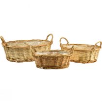 kohteita Kasvikori kudottu kori soikea paju 42/34/28cm 3 kpl sarja