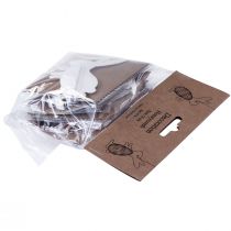 kohteita Pääsiäispupu hunajakennokoriste Kani seisoo valkoinen oranssi 5×3×8cm 6kpl