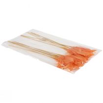 kohteita Koristehöyhenet oranssit linnun höyhenet tikussa 36cm 12 kpl