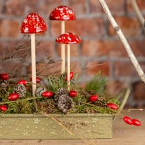 kohteita Myrkkysienet kepillä, punainen, 4cm, 6 kpl setti - koristeellisia puutarhasieniä syksyn koristeluun