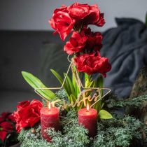 Keinotekoinen amaryllis punainen 3 silkkikukkaa sammalpalloilla H64cm