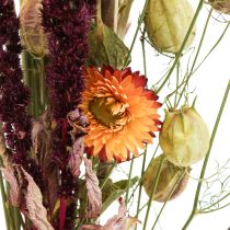 kohteita Kimppu kuivattuja kukkia olkikukkia oranssi purppura 55cm 70g