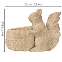 kohteita Istutusruukku oravavalukivikoristeella 26 × 14 × 19 cm
