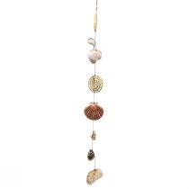 kohteita Merellinen koristeellinen seinäkoristelu, simpukkaseppele, meriseppele L125cm