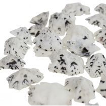 Shell Deco Shells Valkoinen Musta Pieni 1-2,5cm 250g