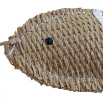 Riippuva koriste deco kala ripustaa merikoristeita raidallinen 14,5×6cm