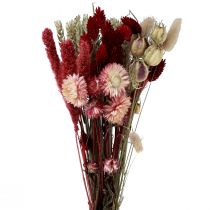 kohteita Kuivatut kukkakimppu olkikukat Phalaris punainen 30cm