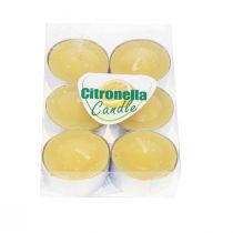 Tuoksukynttilä citronella kynttilä, sitronella-teevalot Ø3,5cm K1,5cm 6 kpl