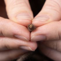 kohteita Sydänlankaa, villalankaa, ruskeaa, 55 m koristenarua kukkakauppoihin ja askarteluun