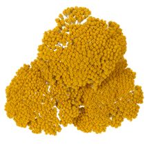 kohteita Achillea Natur Gelb -siankärsämö, kuivatut kukat, keltaiset, 1 kg