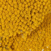 kohteita Achillea Natur Gelb -siankärsämö, kuivatut kukat, keltaiset, 1 kg