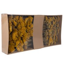 kohteita Achillea Natur Gelb -siankärsämö, kuivatut kukat, keltaiset, 1 kg