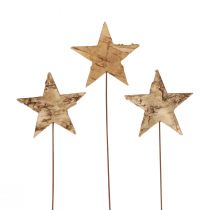 kohteita Koristetähtiä puunkuoren koristetähtien kiinnittämiseen Adventti 22cm 24 kpl