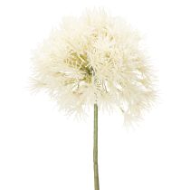 kohteita Allium-tekokukka, herkkä muotoilu sisäkäyttöön, 68 cm