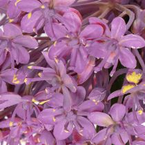kohteita Keinotekoinen allium-kukka, koristeellinen sipuli, elegantti huonekoriste, 90 cm