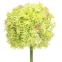 kohteita Allium vihreä kukka keinotekoinen koriste sipuli Ø18cm 90cm