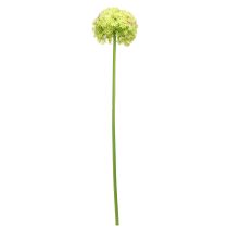 kohteita Allium vihreä kukka keinotekoinen koriste sipuli Ø18cm 90cm