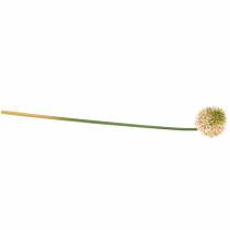 kohteita Koriste sipuli Allium keinotekoinen vaaleanpunainen / vihreä Ø8cm 58cm