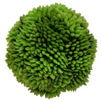 Allium pallo 5cm vihreä 4kpl