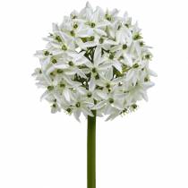 kohteita Koristekukka Allium, keinotekoinen pallipurjo, koristeellinen sipuli valkoinen Ø20cm P72cm