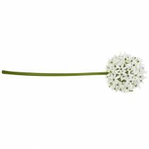 kohteita Koristekukka Allium, keinotekoinen pallipurjo, koristeellinen sipuli valkoinen Ø20cm P72cm