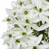 kohteita Koristekukka Allium, keinotekoinen pallipurjo, koristeellinen sipuli valkoinen Ø20cm P72cm
