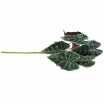 kohteita Alocasia arrow lehtivihreä, violetti keinokasvi H48cm