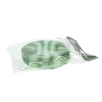 kohteita Alumiinilanka 2mm 500g, 60m mintunvihreä - askartelulankaa koristeluun, floristiikkaan ja pienoismallien valmistukseen