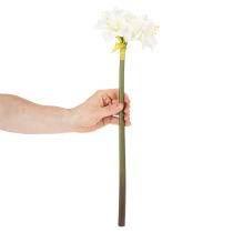 kohteita Keinotekoinen amarylliskukka, valkoinen, varren kanssa, adventti ja joulu, 50 cm