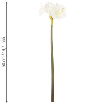 kohteita Keinotekoinen amarylliskukka, valkoinen, varren kanssa, adventti ja joulu, 50 cm