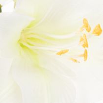 kohteita Keinotekoinen amarylliskukka, valkoinen, varren kanssa, adventti ja joulu, 50 cm