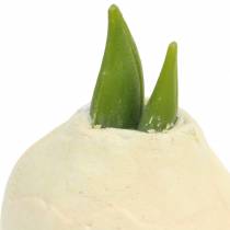 Amaryllis-mukula Keinotekoinen valkoinen 12,5 cm 3kpl